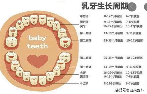 小朋友出大牙|宝宝出牙的顺序是什么？有哪些注意事项？